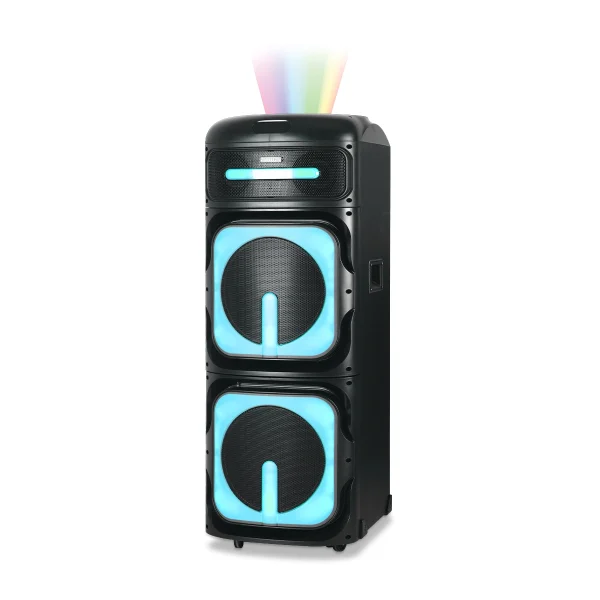 اسپیکر آیوا X600DSP PRO- BT/MIC - تصویر 2