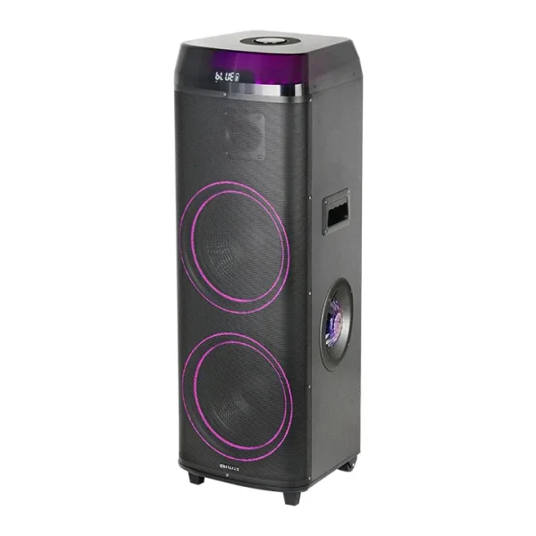 اسپیکر شارژی آیوا AW-X1131DSP - تصویر 2